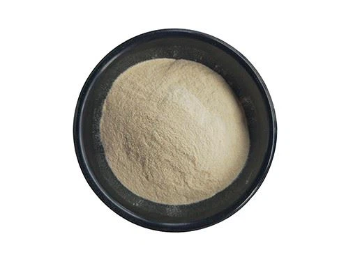 Bovine Beef Gelatin Powder